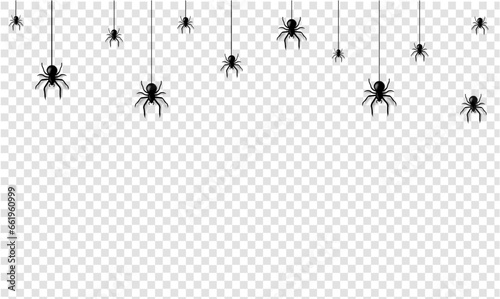 spider 