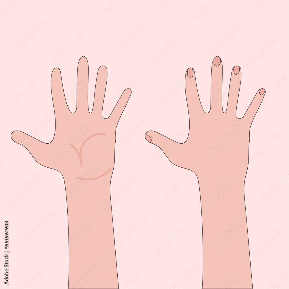 sign language two hands, give five and palm sign language two hands, give five and palm