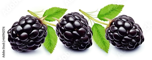 Fresh green leafy blackberries, on white background. generative AI