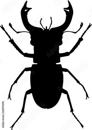 silhouette of a beetle