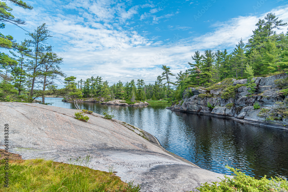 Fototapeta premium Forest lake