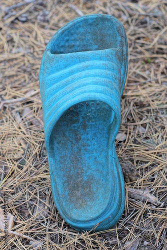 one old dirty blue plastic slipper stands on the ground and dry brown fallen pine needles on the street