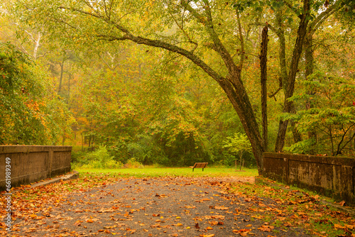 Beautiful tranquil autumn scene in Gladstone Park  New Jersey featuring colorful fall foliage and fog on the background