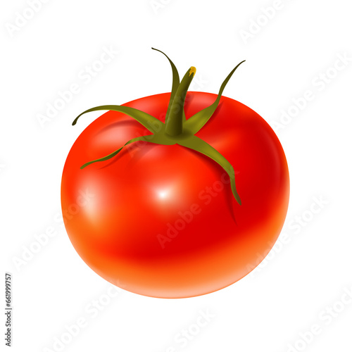 One whole tomato with peduncle. Fresh red ripe mellow vegetable on white background. Realistic 3d isolated vector illustration