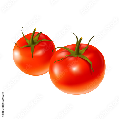 Two tomatoes composition. Fresh red ripe mellow vegetables on white background. Realistic 3d isolated vector illustration