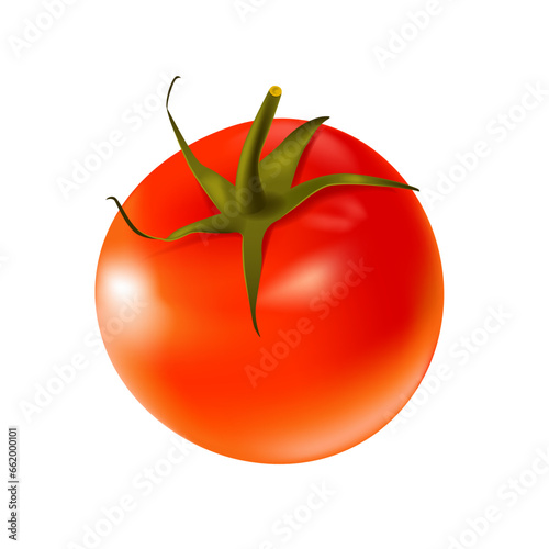 One red small tomato with peduncle. Natural healthy ingredient for a vegan meal on white. Realistic 3d isolated vector illustration