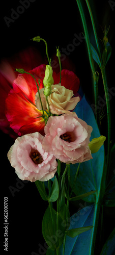 a bouquet of eustoma flowers stands on a black background