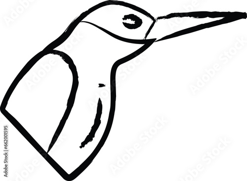 Hummingbird hand drawn vector illustration