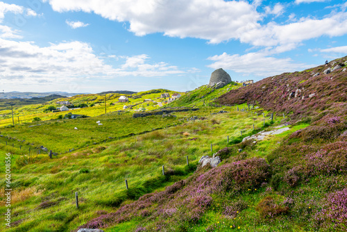 Heather covers the ground near the ancient hilltop ruins of the Dun Carloway Broch roundhouse on a sunny summer day in the district of Carloway, Isle of Lewis, Scotland, United Kingdom.	
 photo