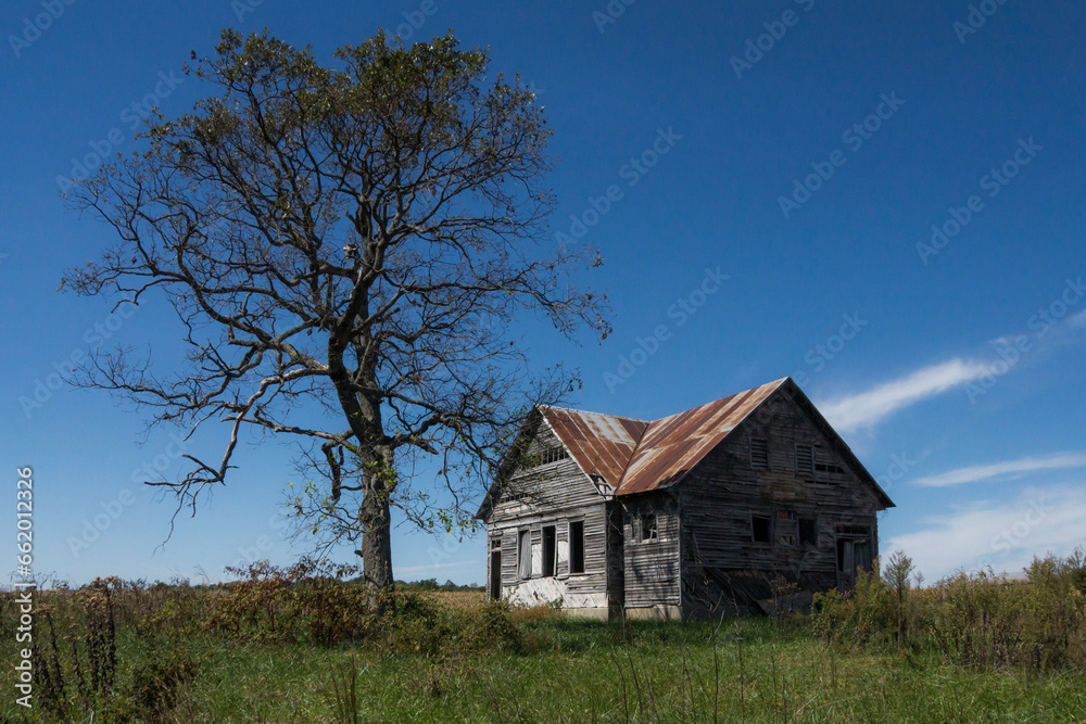 Old abandoned homestead with tree and blue sky Old abandoned homestead with tree and blue sky