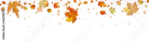 Realistic falling autumn leaves. Autumn flying orange foliage on transparent background  isolated template vector illustration