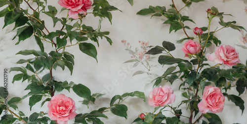 chinese rose tree plants birds mural chinoiserie wallpaper 