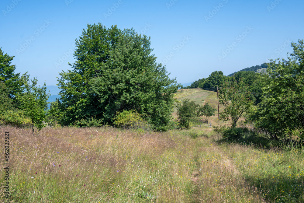 Landscape of Erul mountain near Kamenititsa peak, Bulgaria Landscape of Erul mountain near Kamenititsa peak, Bulgaria