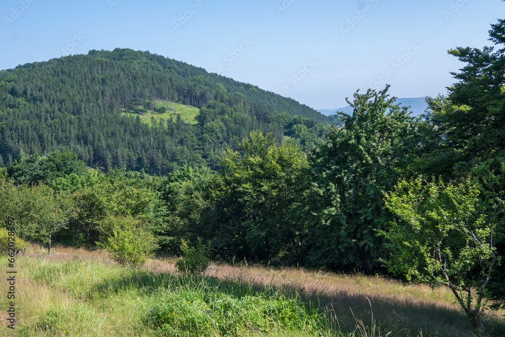 Landscape of Erul mountain near Kamenititsa peak, Bulgaria Landscape of Erul mountain near Kamenititsa peak, Bulgaria