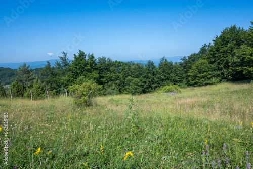 Landscape of Erul mountain near Kamenititsa peak, Bulgaria photo