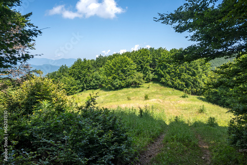 Landscape of Erul mountain near Kamenititsa peak, Bulgaria