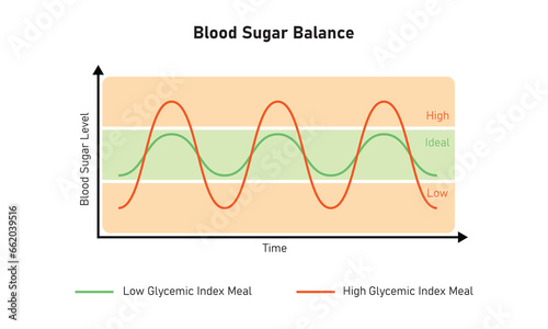 Blood Sugar Balance Graph Scientific Design. Vector Illustration.