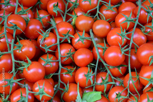 Closeup fresh tomatoes with panicle at a market
