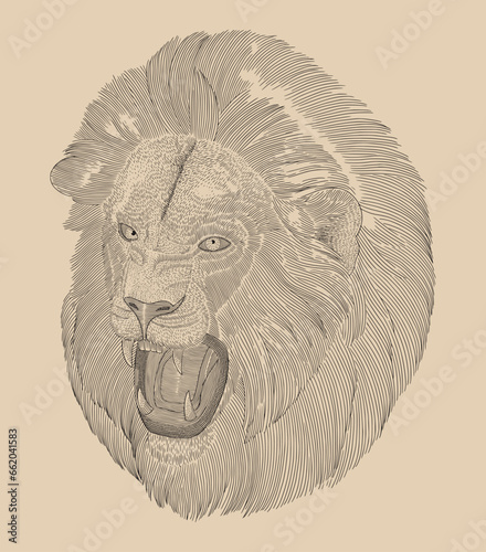 portrait of an aggressive lion head, Vintage engraving drawing style illustration photo