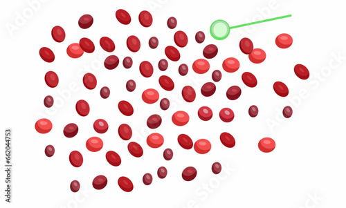 Vector illustration, cranberries with isolated white background.