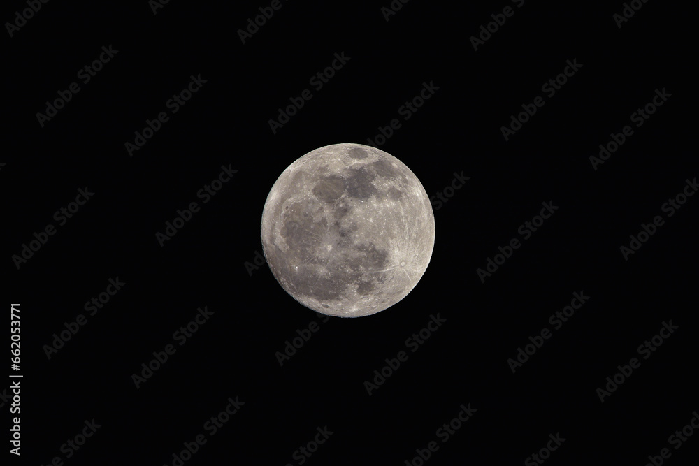 Naklejka premium full moon over black