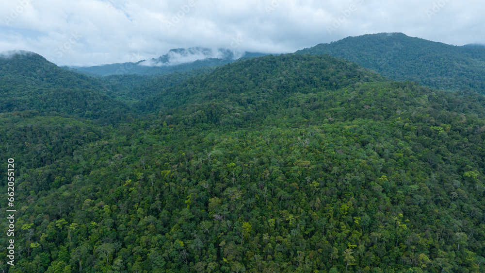 Aerial view of beautiful mountain natural green field of forest in the wild forest mountain ,Clean Air natural fresh Air concept