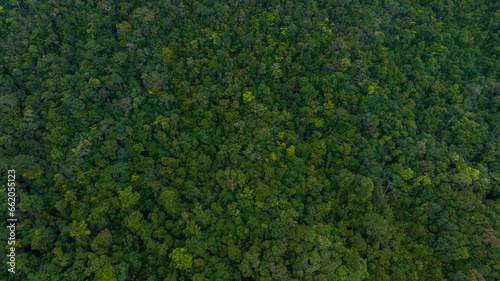 Aerial view of beautiful mountain natural green field of forest in the wild forest mountain ,Clean Air natural fresh Air concept