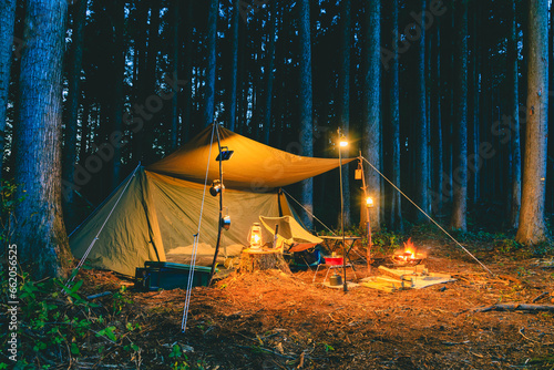 夜の森でキャンプ