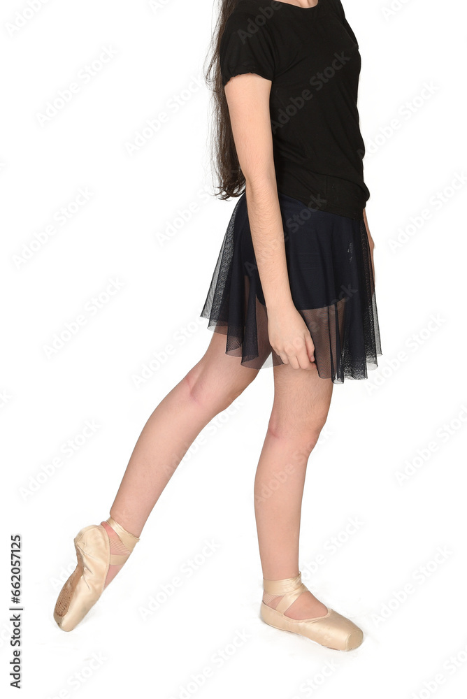 ballerina dance position, legs crossed with ballet pointe, half-body slipper, body expression ballerina dance position, legs crossed with ballet pointe, half-body slipper, body expression