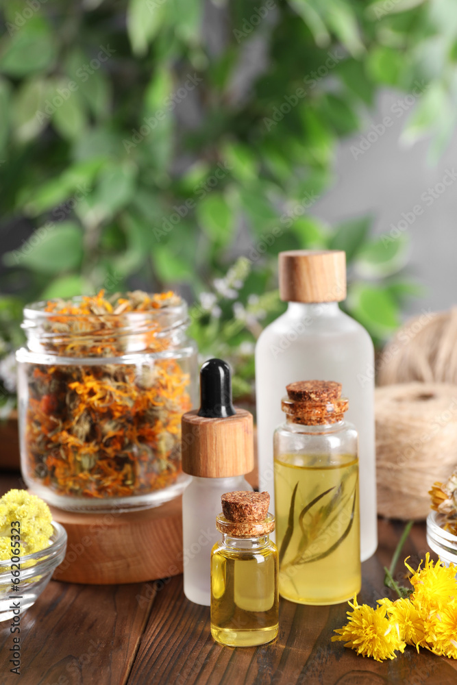 Bottles of essential oils and different herbs on wooden table