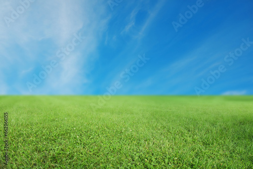 Green grass under bright blue sky with clouds
