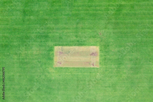 Cricket Pitch - Top Down View