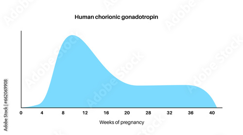 Hormones in pregnancy