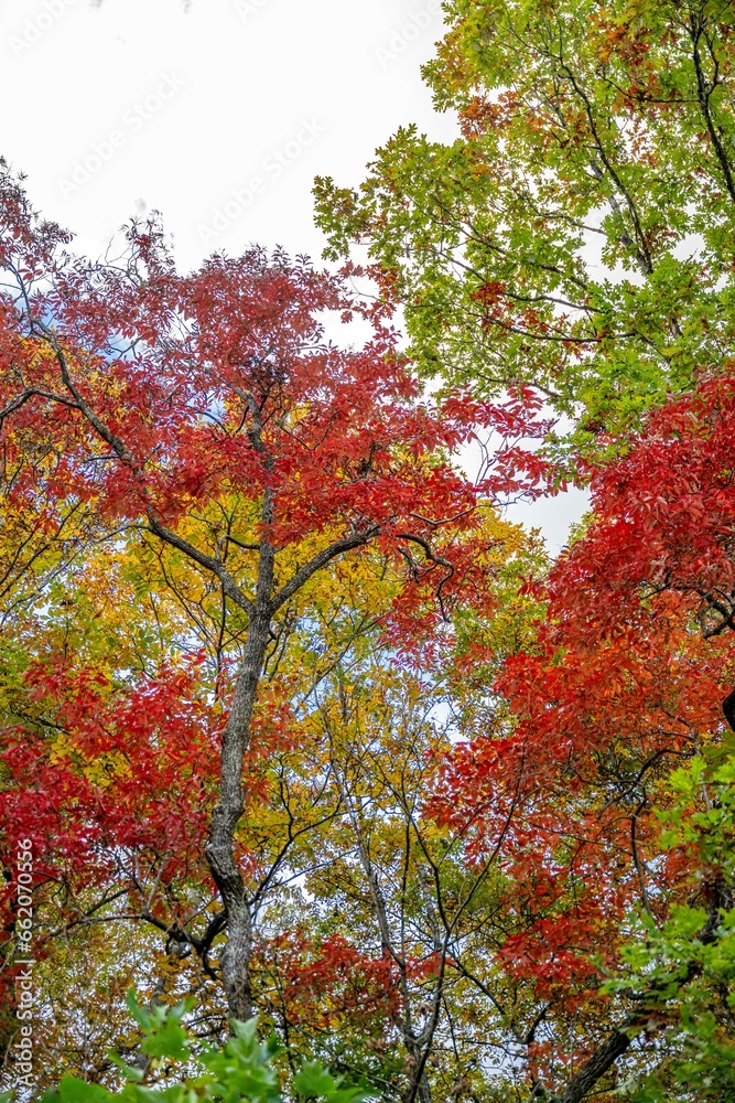 autumn in the mountains