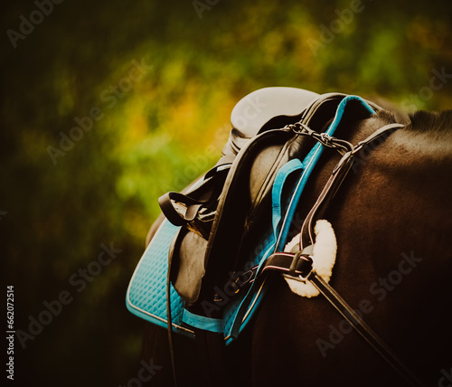 A black horse weared with sporty equipment, such as a saddle, stirrups, and a breastplate. It showcases the world of equestrian sports and horseback riding. The athleticism and horsemanship.