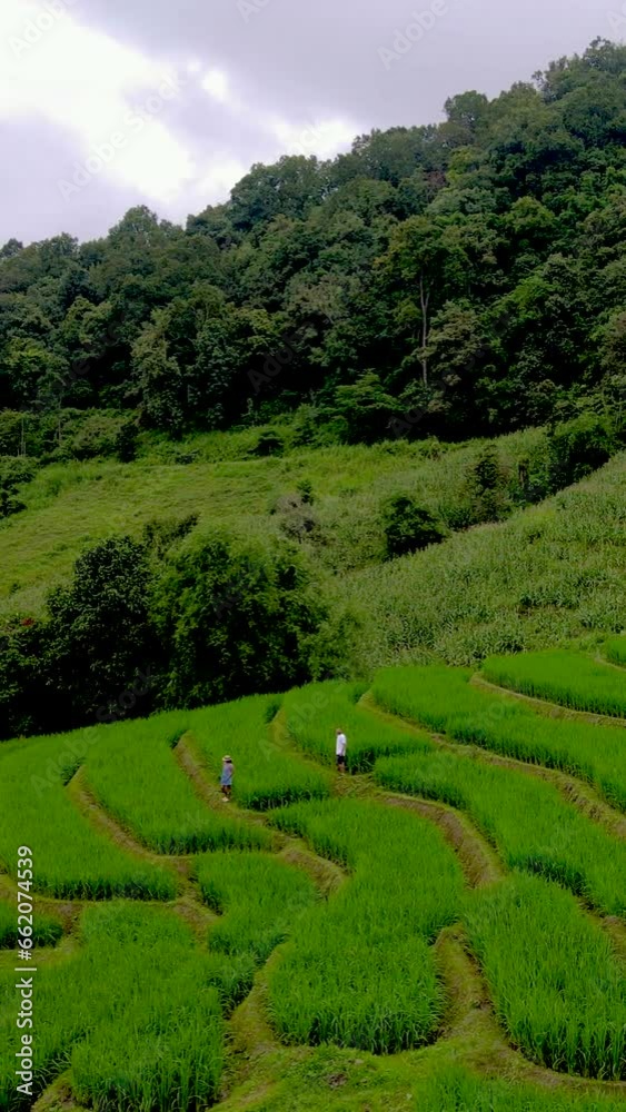 Terraced Rice Field in Chiangmai, Thailand, Pa Pong Piang rice terraces, green rice paddy field in Pa Pong Pieng, Mae Chaem, Chiang Mai, Thailand, a couple of men and women in the mountains Chiang Mai