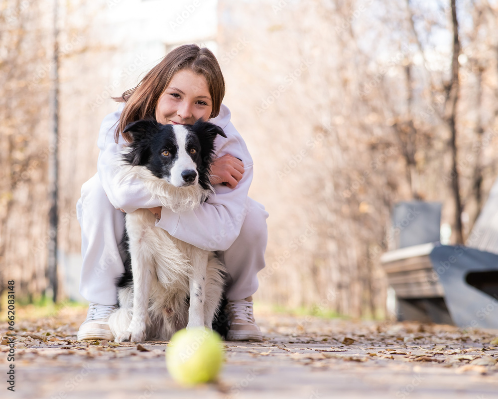 Caucasian woman hugging her dog on a walk in the autumn park. Border collie looks at the ball. Caucasian woman hugging her dog on a walk in the autumn park. Border collie looks at the ball.