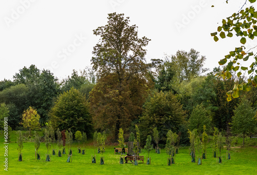 Enfield Living Memorial. The memorial is a heart shape spread of trees over thirty metres wide as a place of solace in honour of people lost during the coronavirus pandemic.
