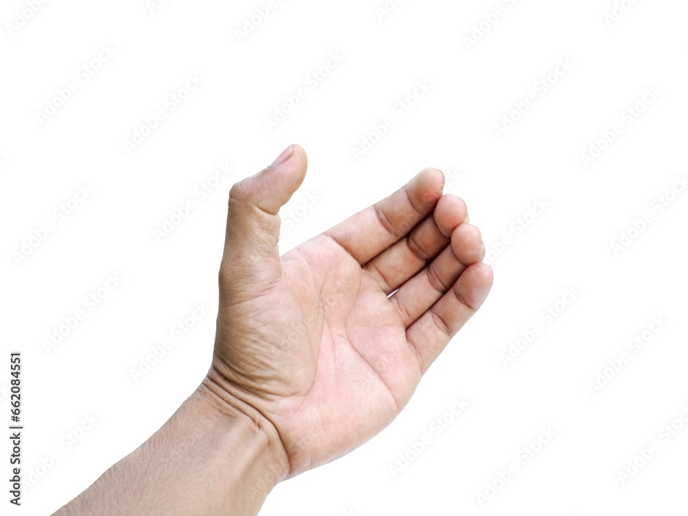 Men's hands making gestures like is holding something such as a phone or a water bottle Isolated on white background. Men's hands making gestures like is holding something such as a phone or a water bottle Isolated on white background.