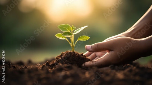 hold young tree ready to grow in fertile soil, prepare for plant and reduce global warming, Save world environment , save life, Plant a tree world environment day, sustainable