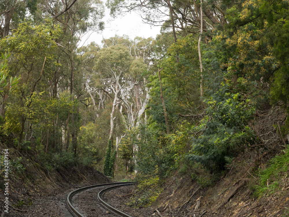 Curved railway track with gum trees in the Adelaide Hills, South Australia, Australia Curved railway track with gum trees in the Adelaide Hills, South Australia, Australia