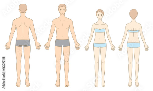 男女人体イラスト