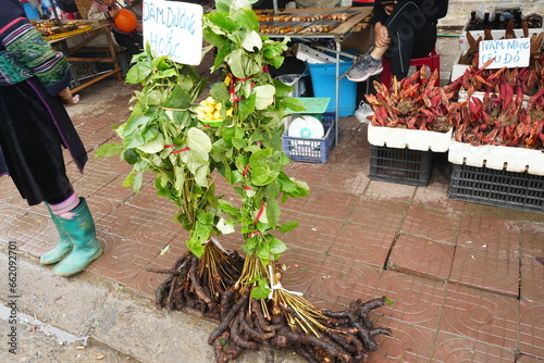 Colorful Vegetable and Fruits at Sapa Market in Sapa, Vietnam - ベトナム サパ 市場 野菜や果物 photo