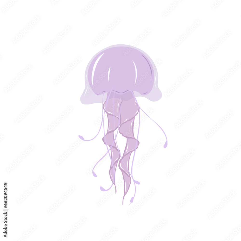 Jellyfish Illustration Jellyfish Illustration