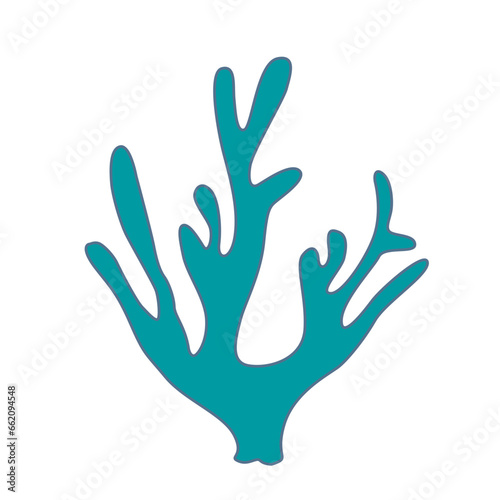 Coral Illustration