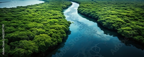 mangrove forest, aerial view photography, top view photography, Generative AI © kanesuan
