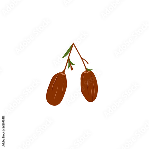 Dates Fruit Illustration