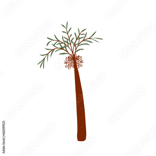 Palm Tree Illustration