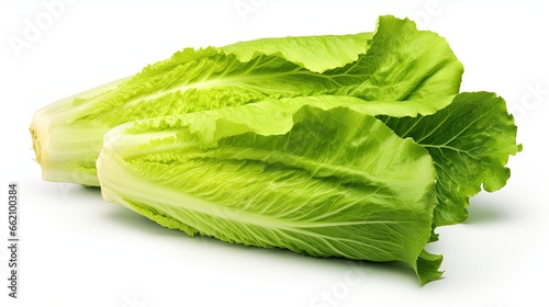 closeup of green vegetable lettuce isolated on white background