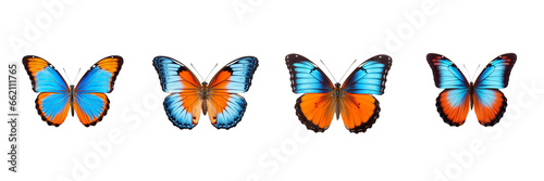 Set of Butterfly isolated on transparent or white background, beautiful blue and orange colored butterfly flying over